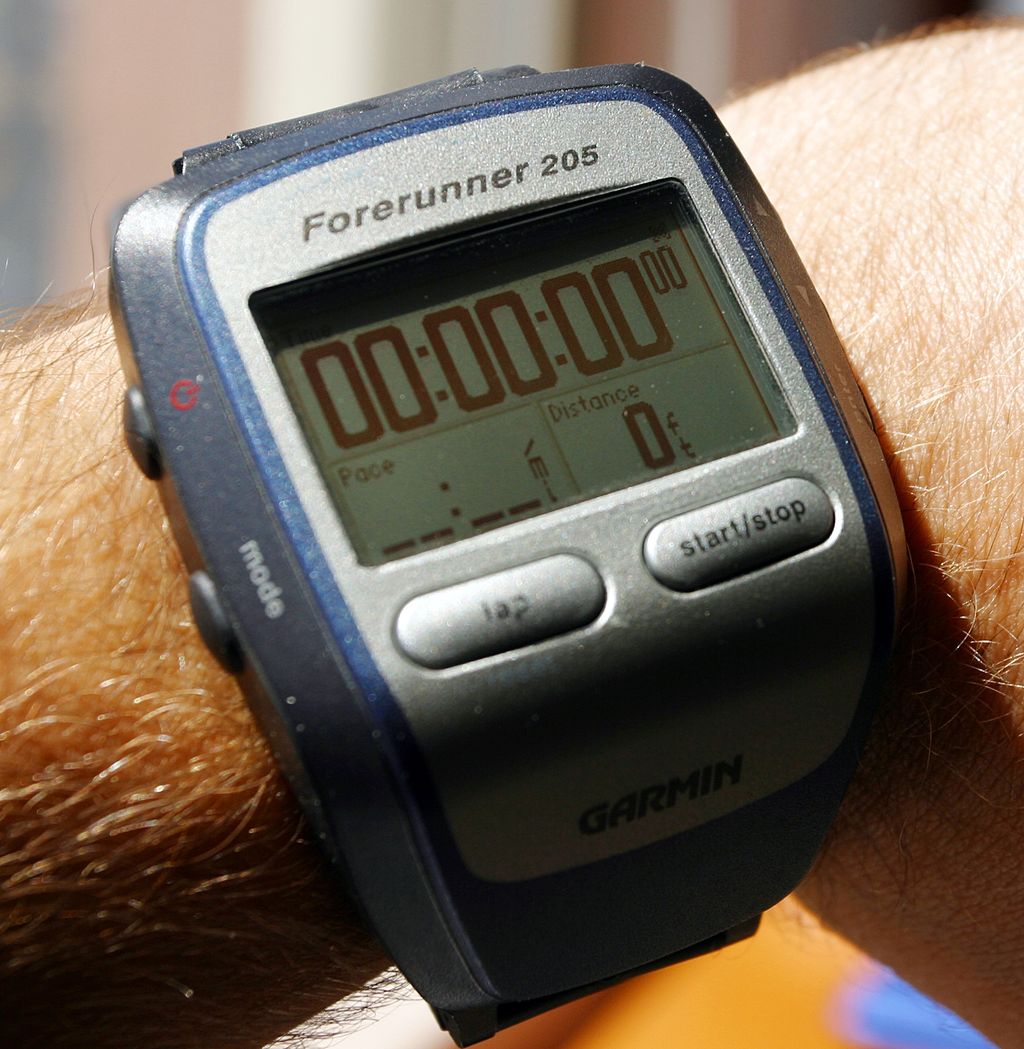 Garmin_Forerunner_205_cropped.jpg