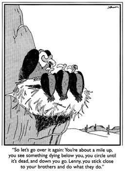 gary_larson_cartoon02.jpg