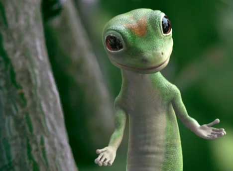 gecko.jpg