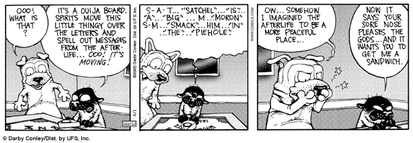 getfuzzy0401.gif
