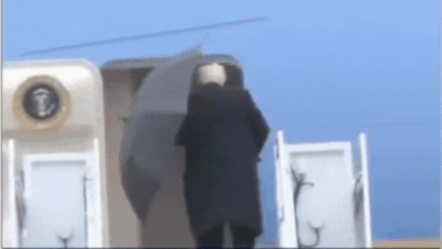 GIF.jpg.gif