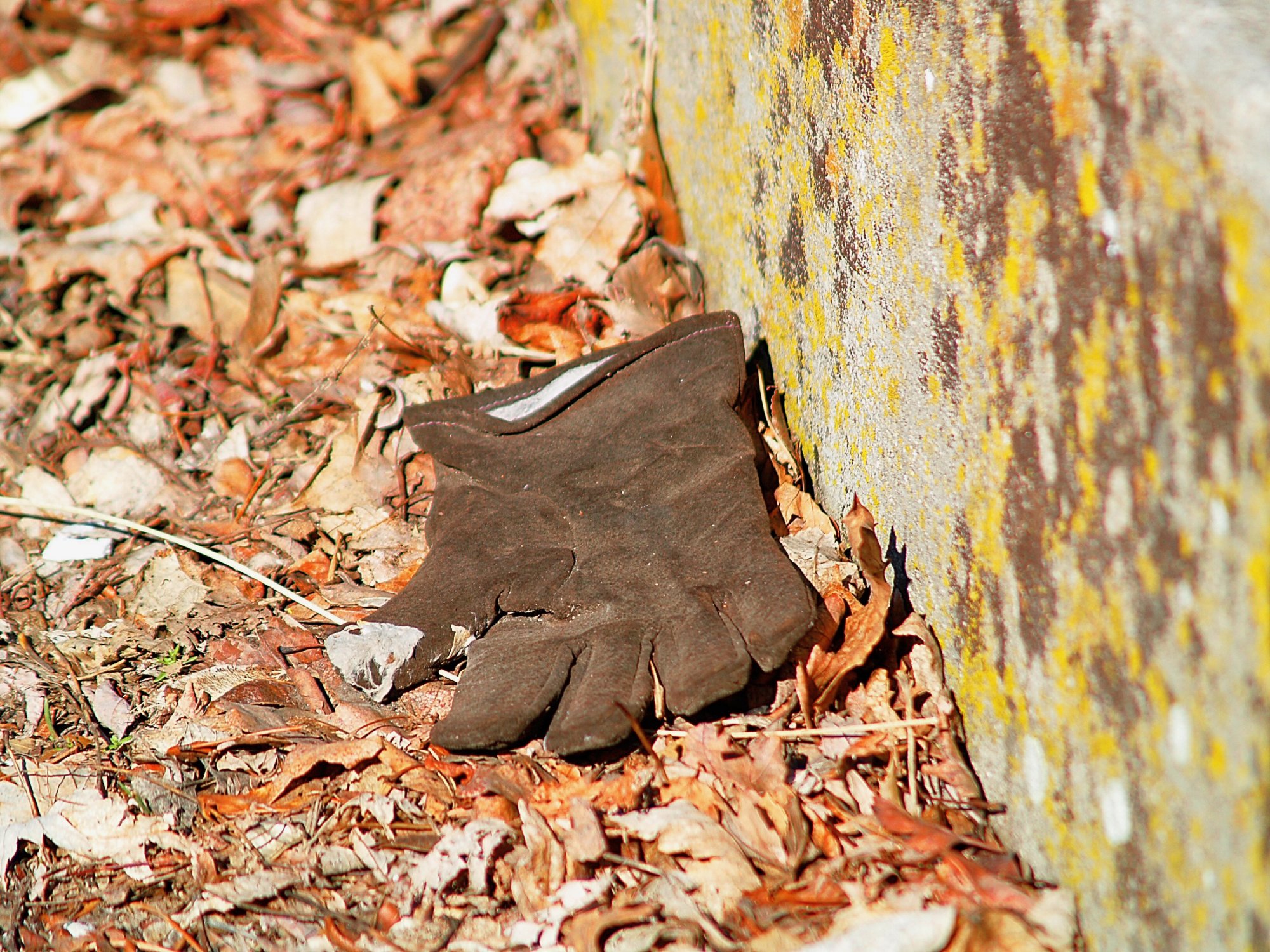 glove - 1.jpeg
