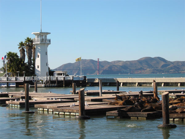 goldengate.jpg
