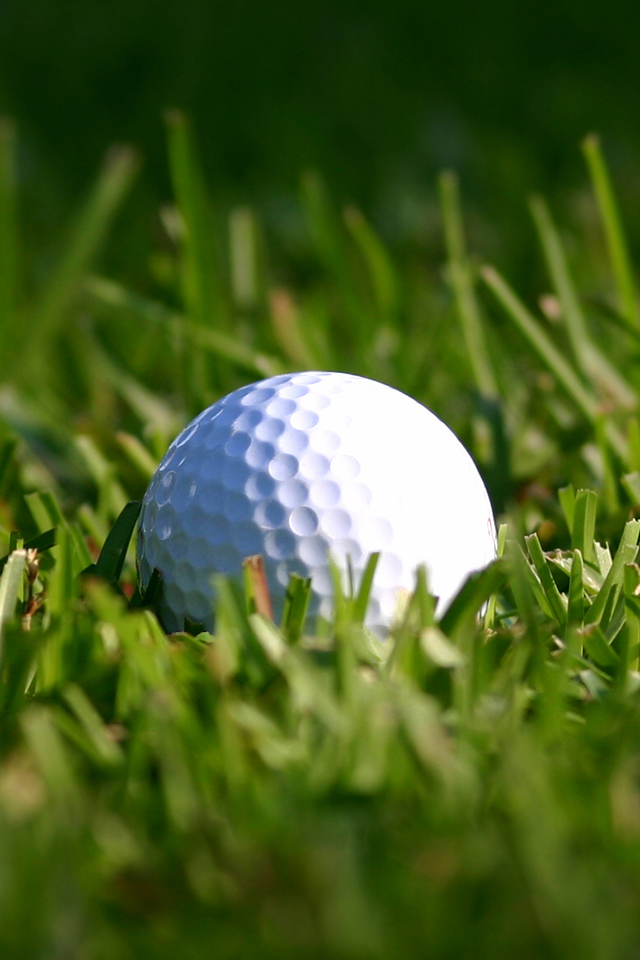 Golf-iP4.png