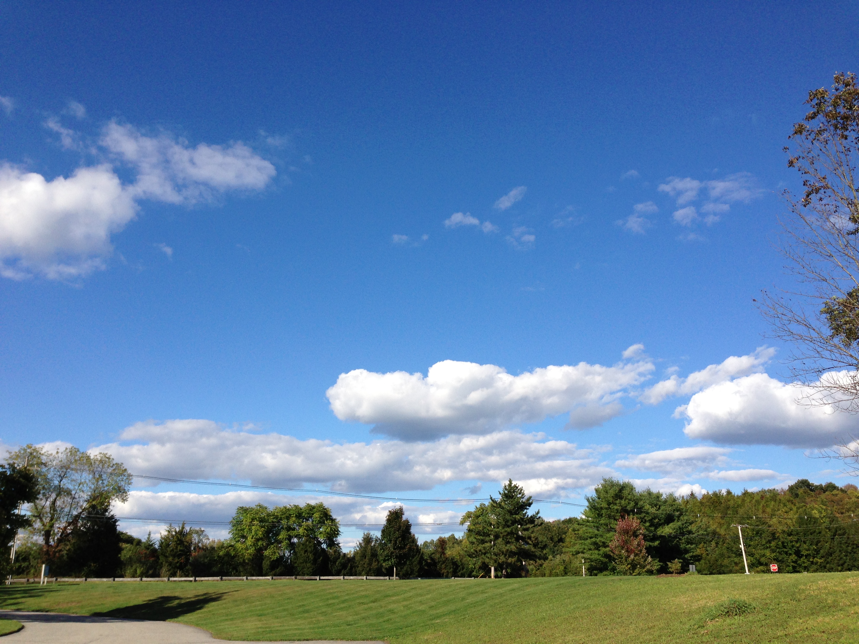 goodbye blue sky.JPG