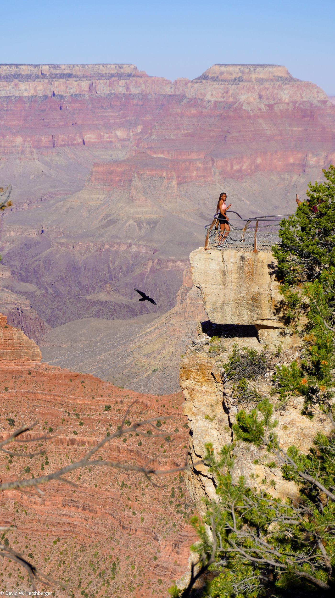Grand Canyon.jpg