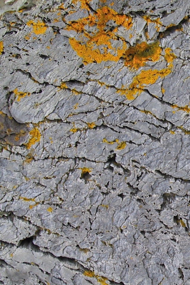 granite1.JPG