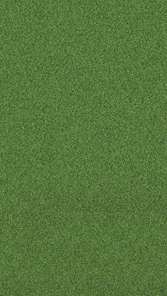Grass.jpg