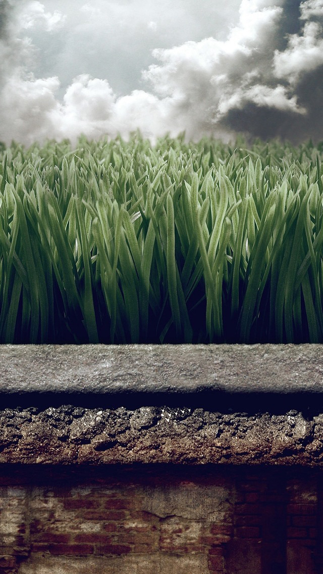 Grass Layers.jpg