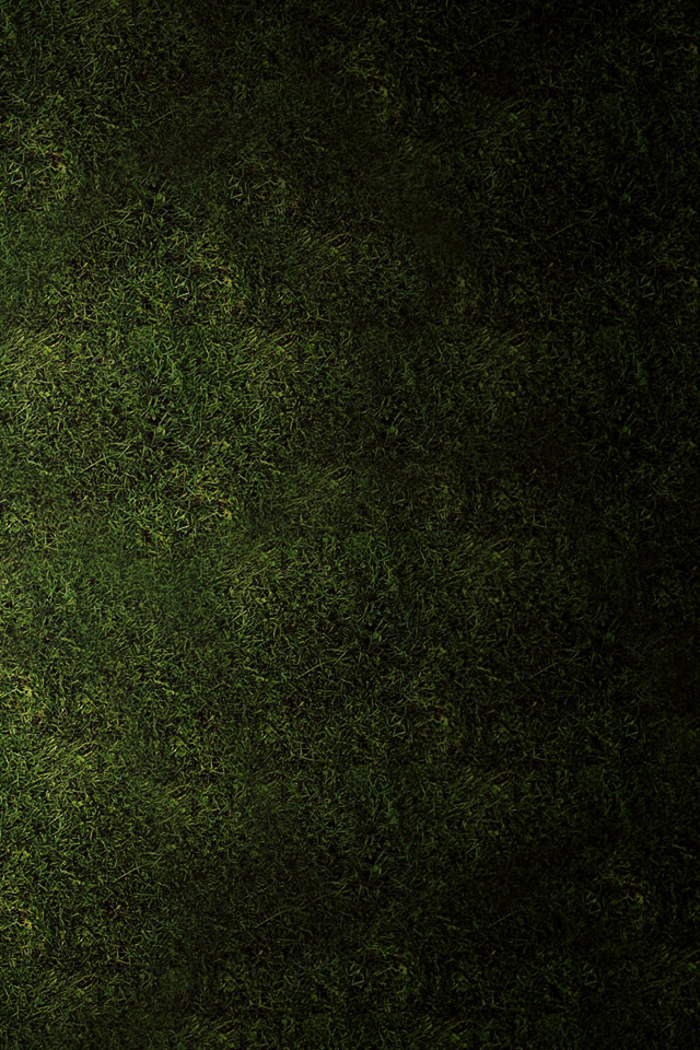 grass02-dim.jpg