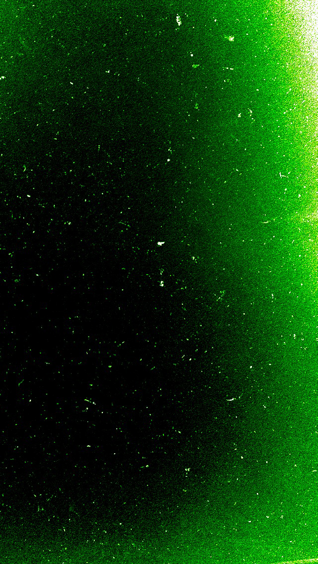 Green 04.jpg