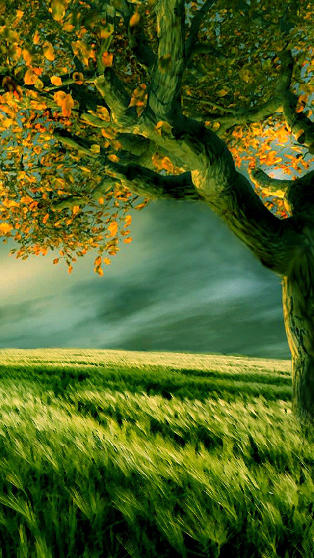 Green Field.jpg
