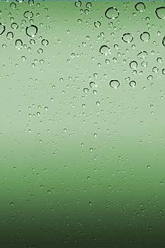 green.jpg