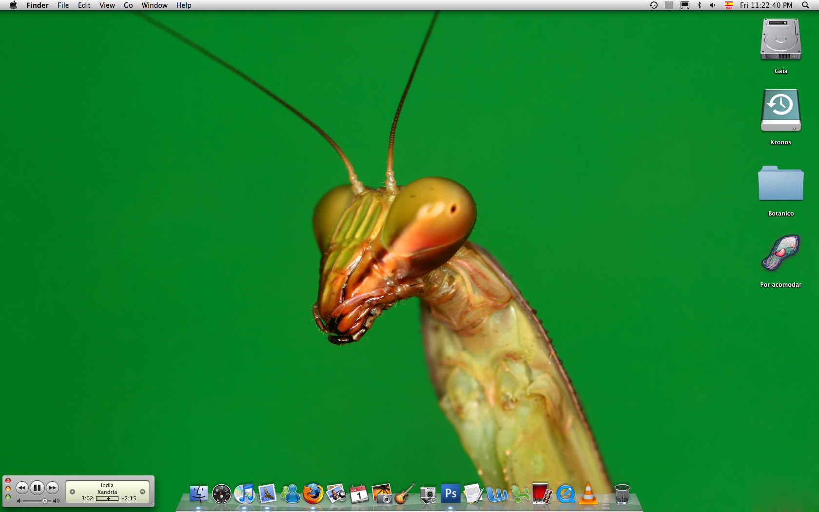 Green screen mantis BG.jpg