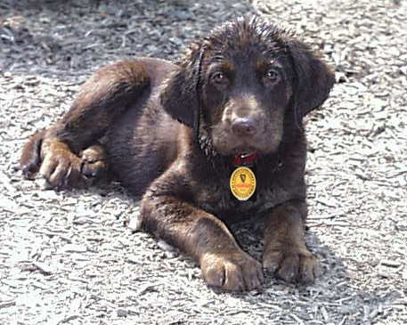 guiness (4).jpg