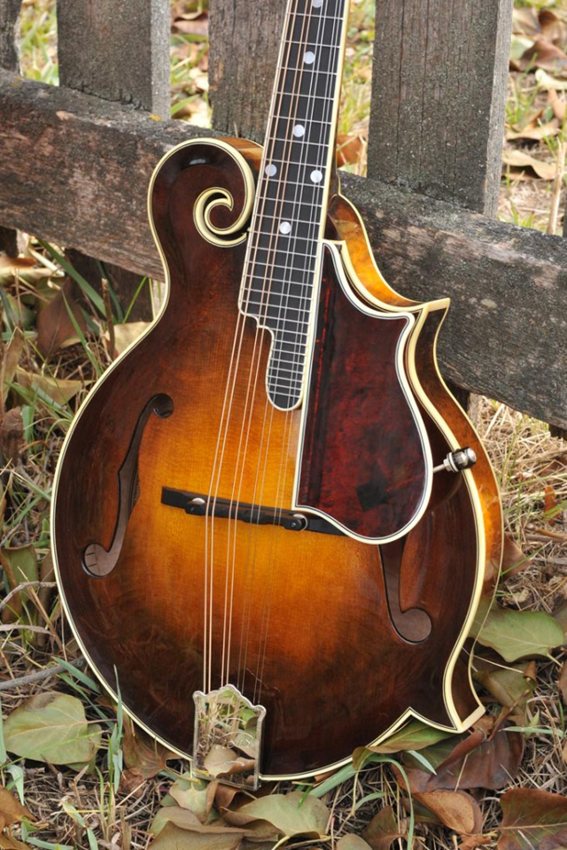 guitar2.png