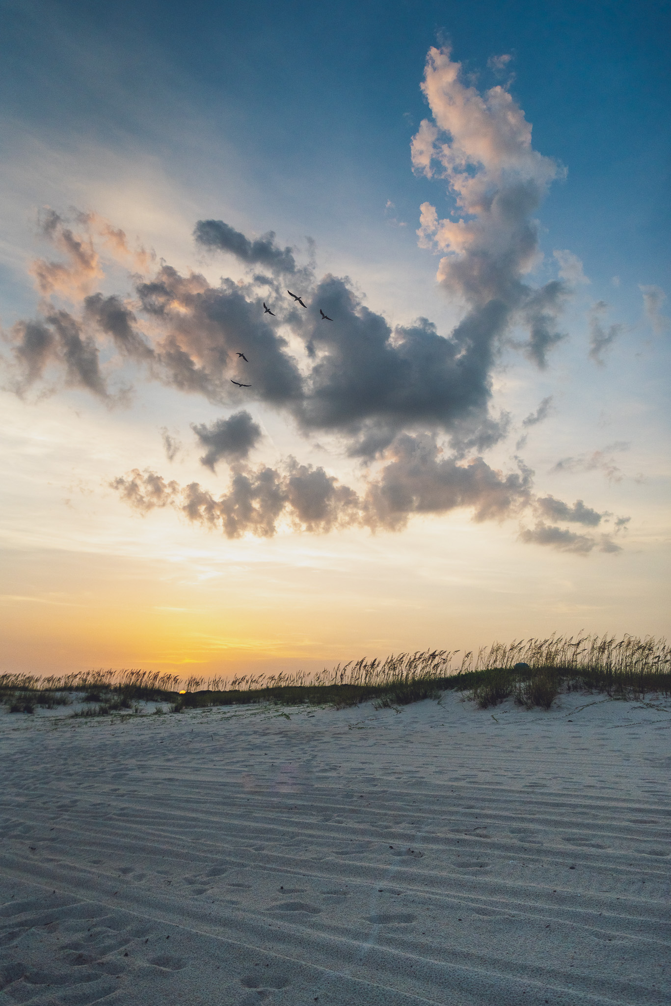 Gulf Shores 2k19-1-6.jpg