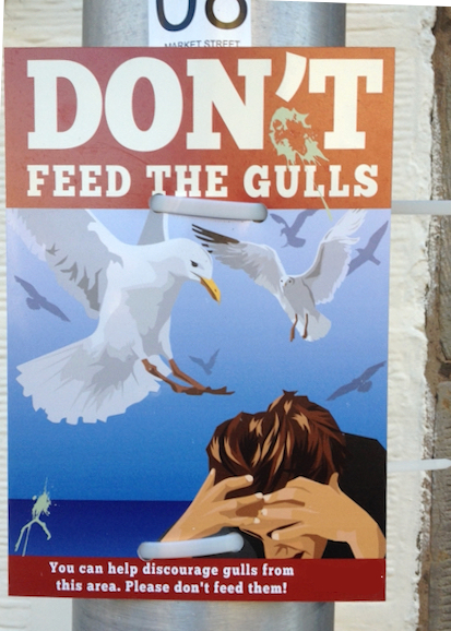gulls sign.jpeg