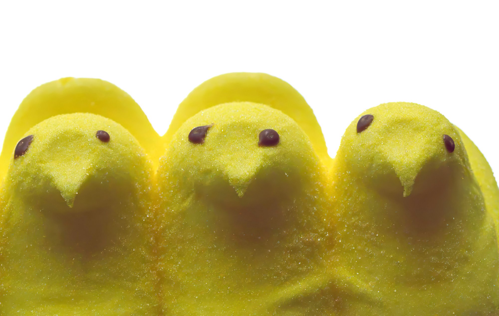 Happy Easter!.jpg