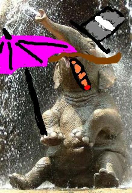 happy-elephant-01.jpg