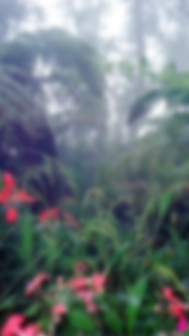 Hawaii 10.png