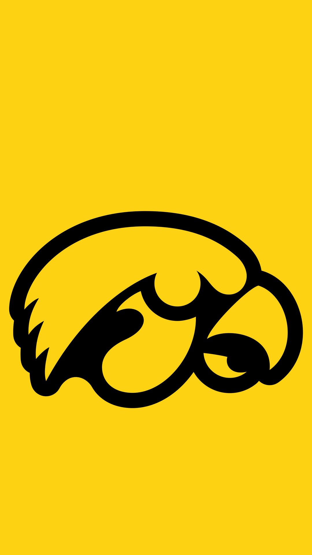 Hawkeyes 03.png