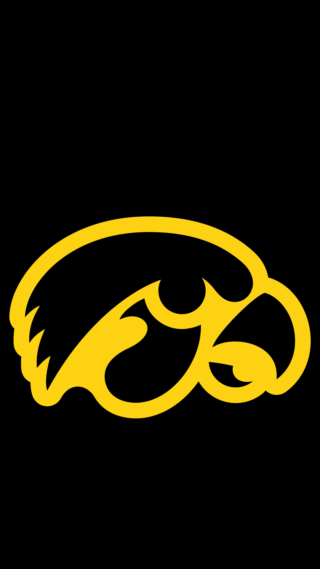 Hawkeyes 04.png