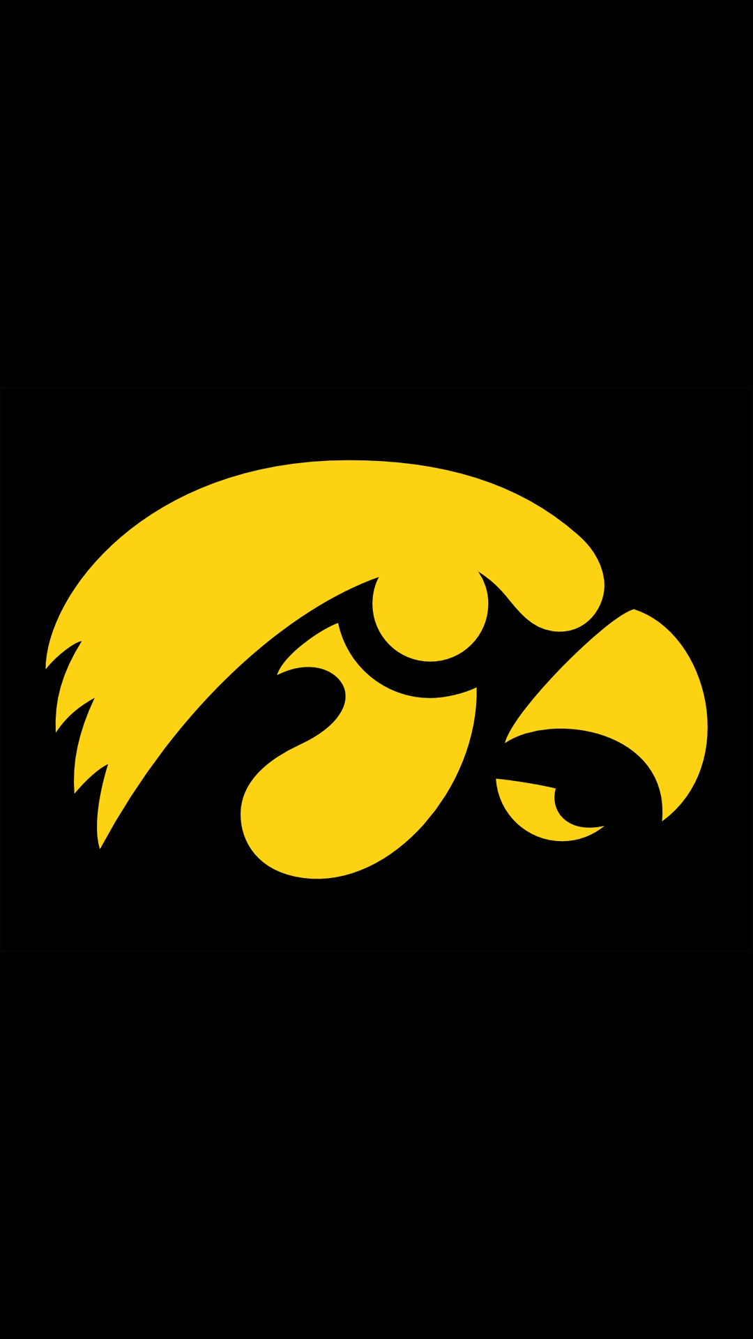 Hawkeyes 05.png