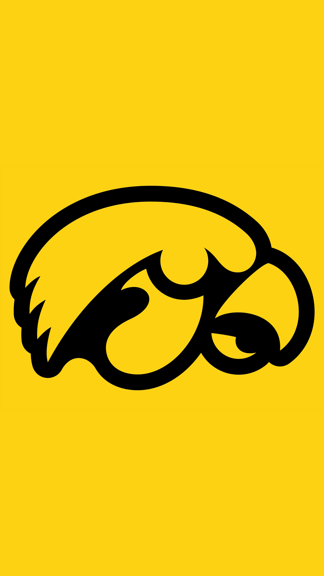 Hawkeyes 07.png