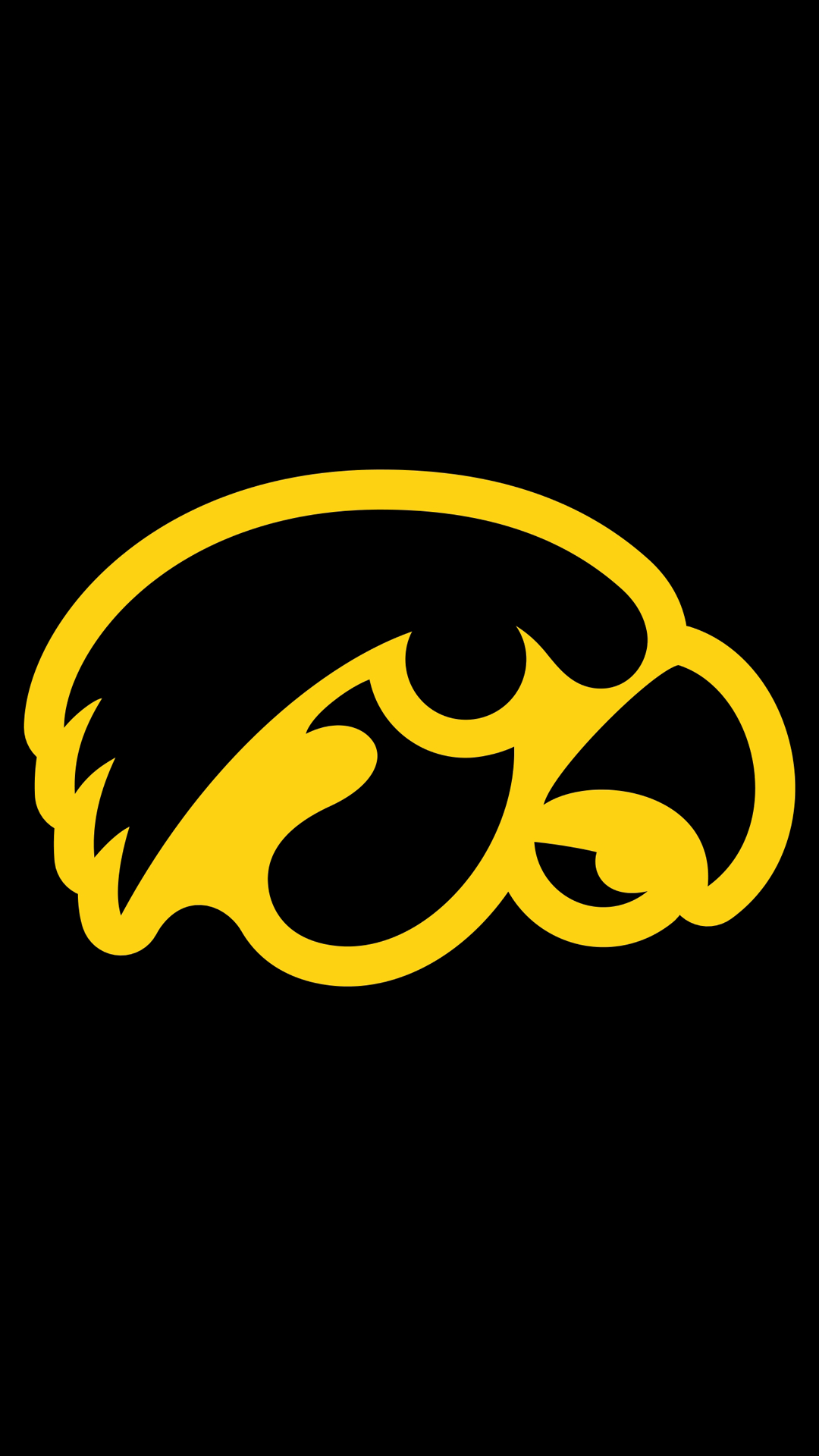 Hawkeyes 08.png