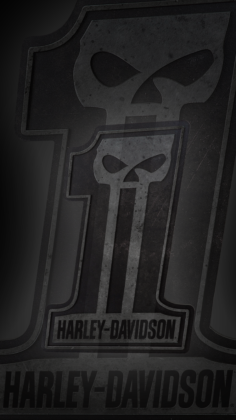 HD 01.png