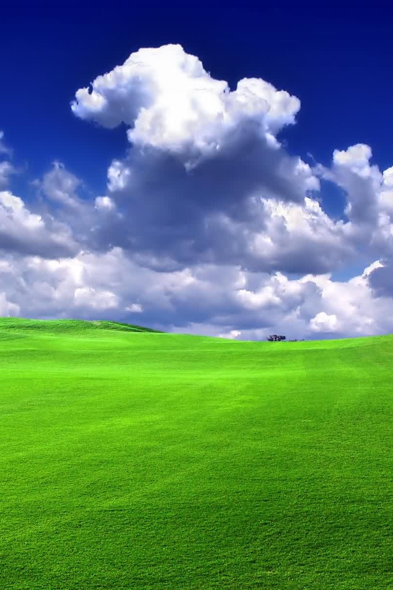 HDField.jpg