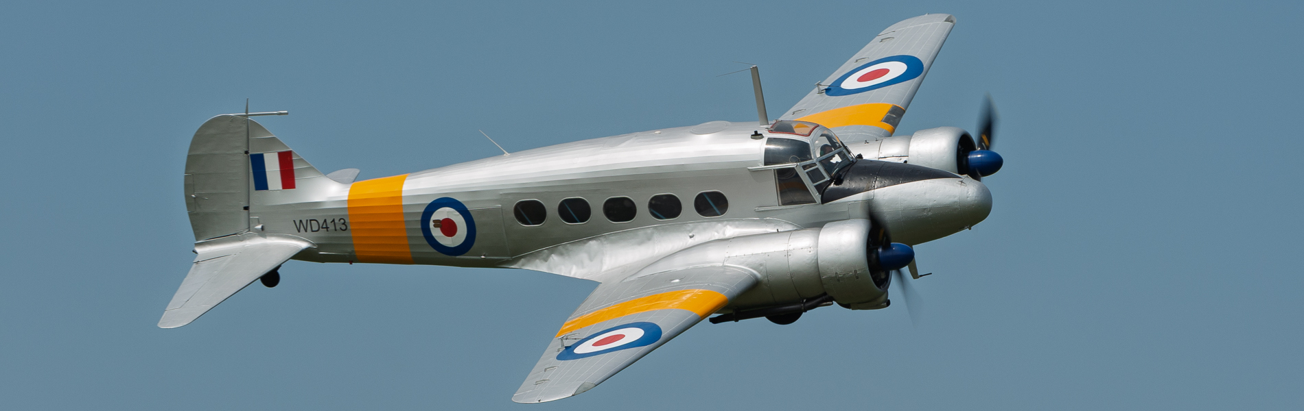 headerAnson.jpg