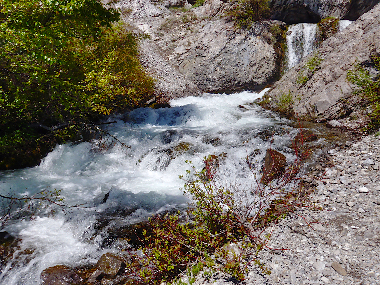 HeadwatersCrow10o_041.jpg