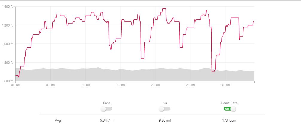 Heart rate 2.JPG
