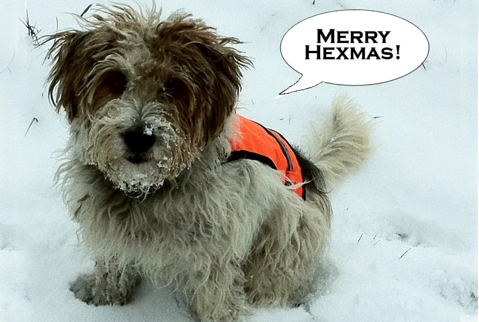 hexmas1.jpg