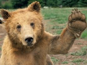 Hi5.jpg