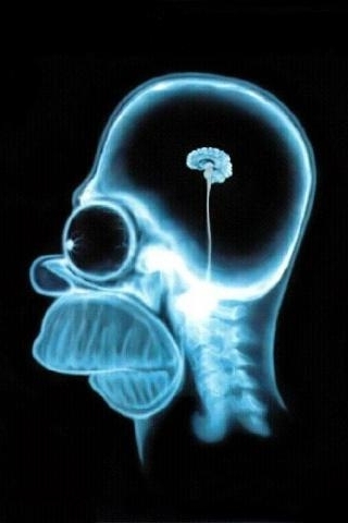 HomerBrain.jpg