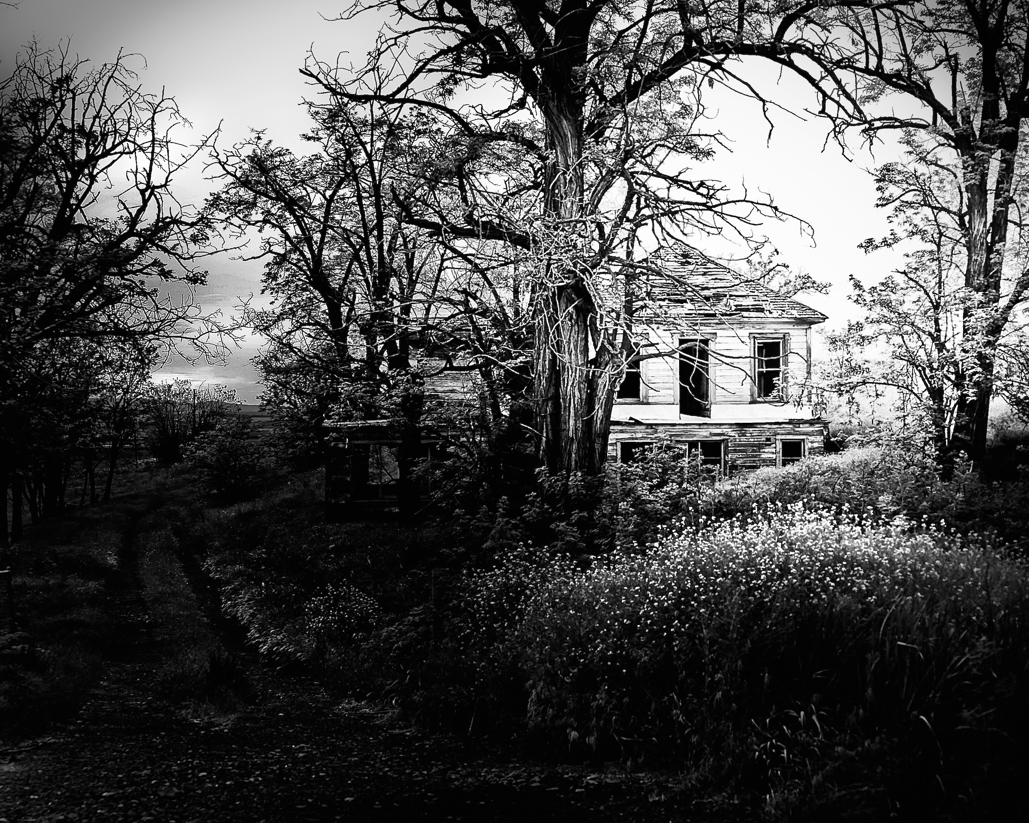 house - 1.jpeg