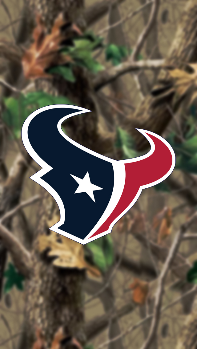 Houston Texans 04.jpg