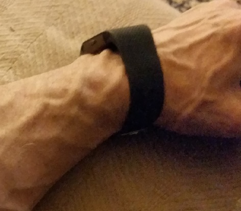 HR Monitor on Wrist.jpg