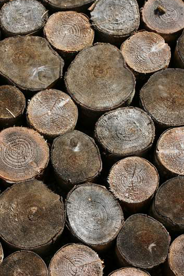 hrt-wood-1-thumb.jpg