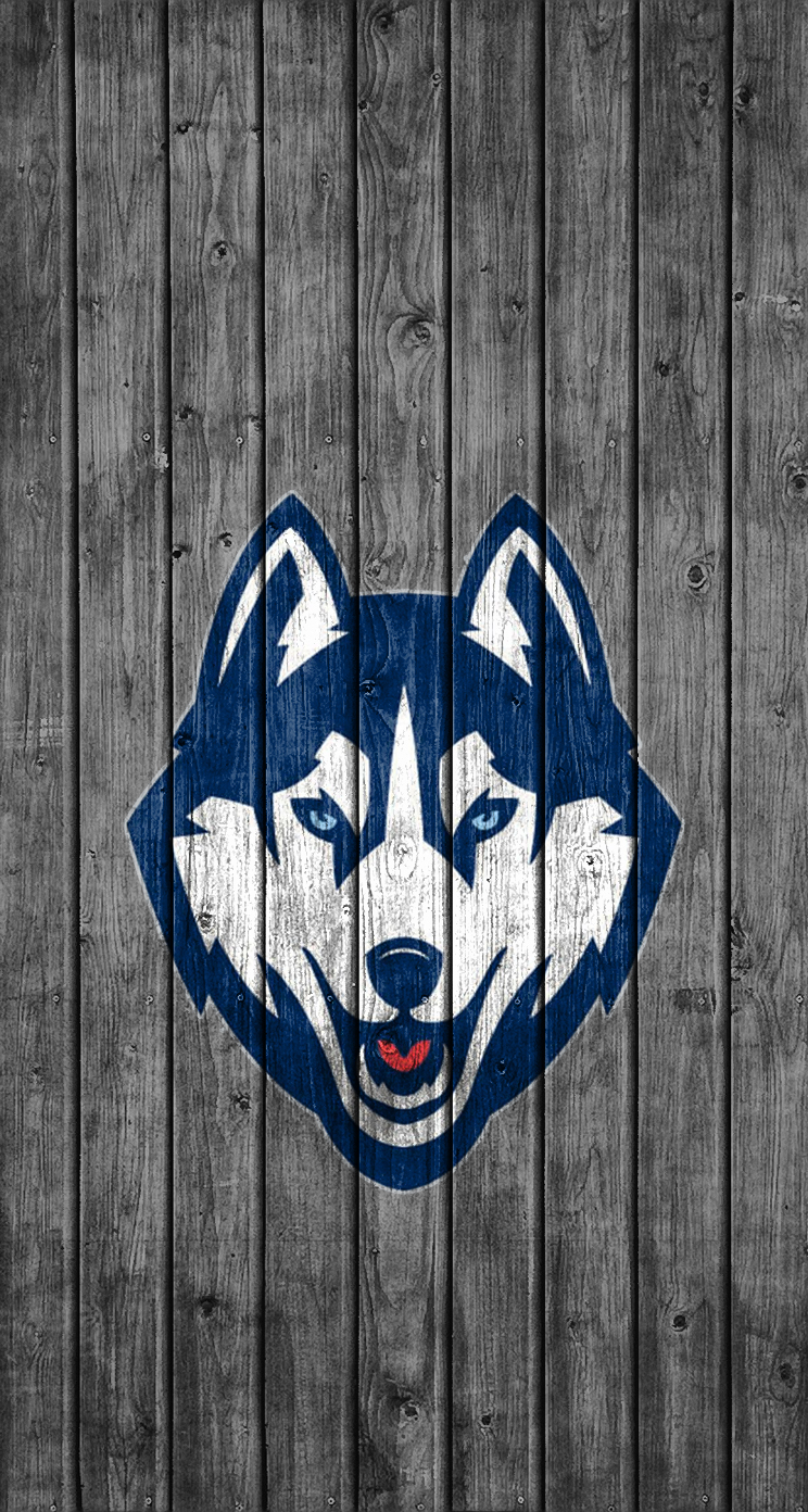 Huskies 01.jpg