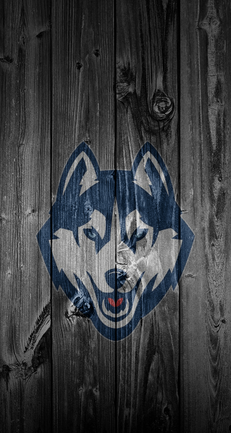 Huskies 02.jpg