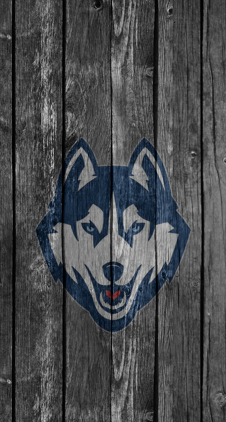Huskies 03.jpg