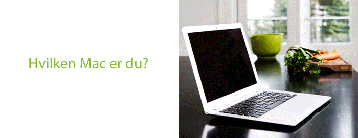 hvilken_mac_er_du2.gif