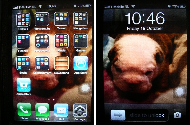 i4 screen.jpg