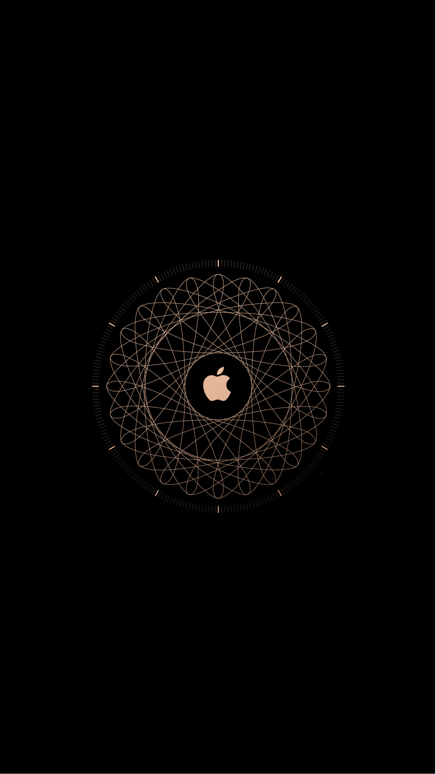 IanFuchs_WatchCert-notext-iPhone-6-Plus.png
