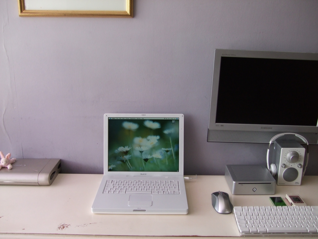 ibook.jpg