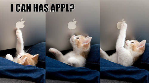 ICanHasApple.jpg